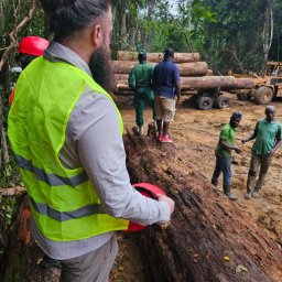 Pozyskiwanie surowca - Afrykańska dżungla