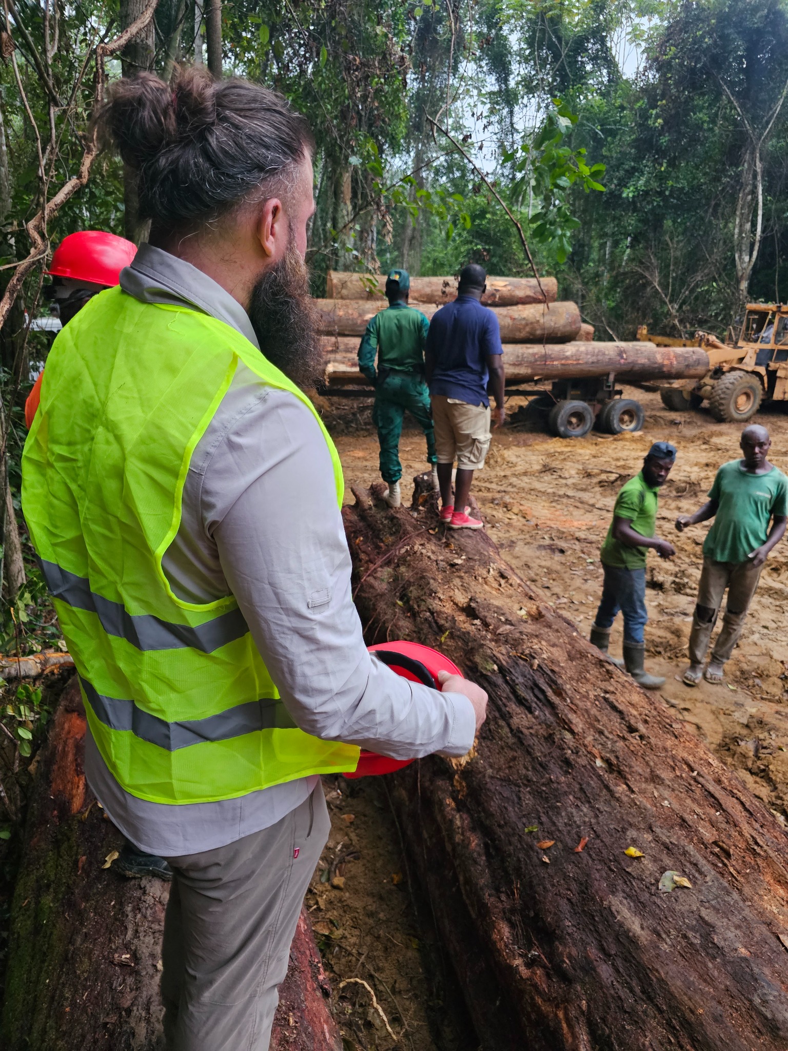 Pozyskiwanie surowca - Afrykańska dżungla