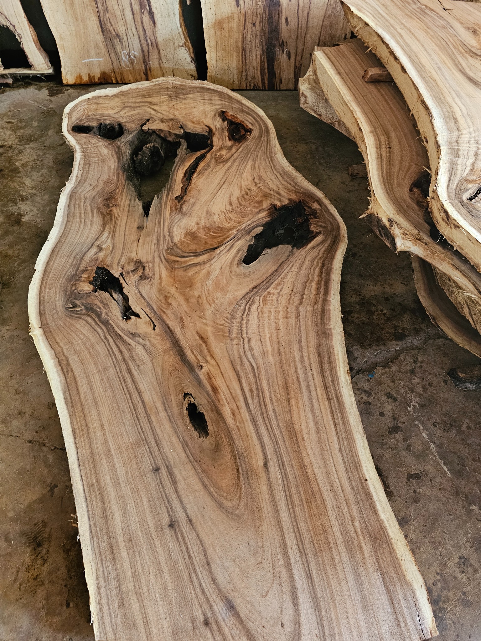 Surowe, jasne drewno z wyraźnym usłojeniem i naturalnymi otworami, przygotowane na blaty. Widoczne krawędzie z korą i inne deski w tle.