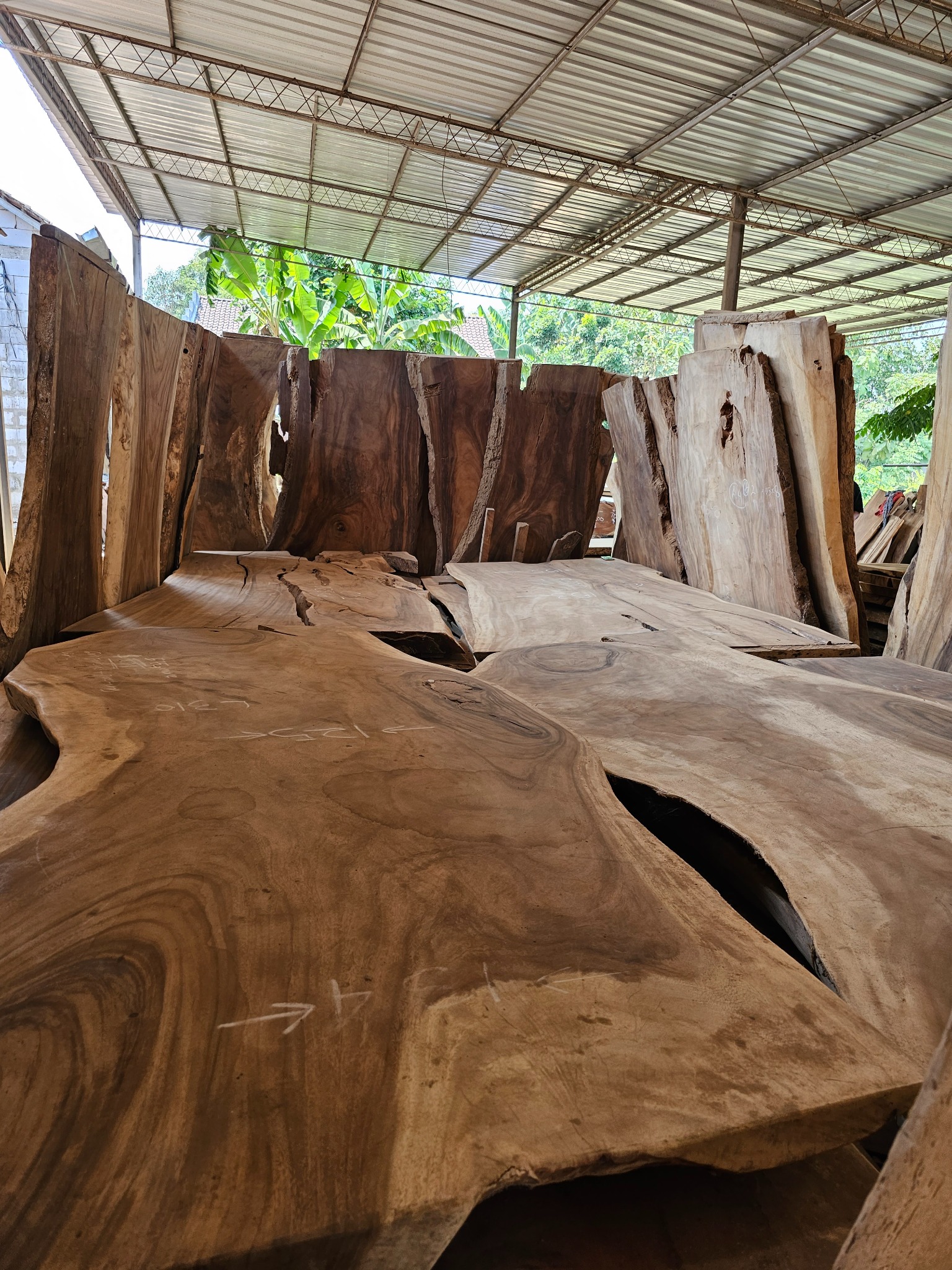 Surowe, nieregularne płyty drewna egzotycznego w magazynie, przygotowane na blaty stołów. Widoczne naturalne pęknięcia i słoje drewna. Metalowa konstrukcja dachu magazynu.