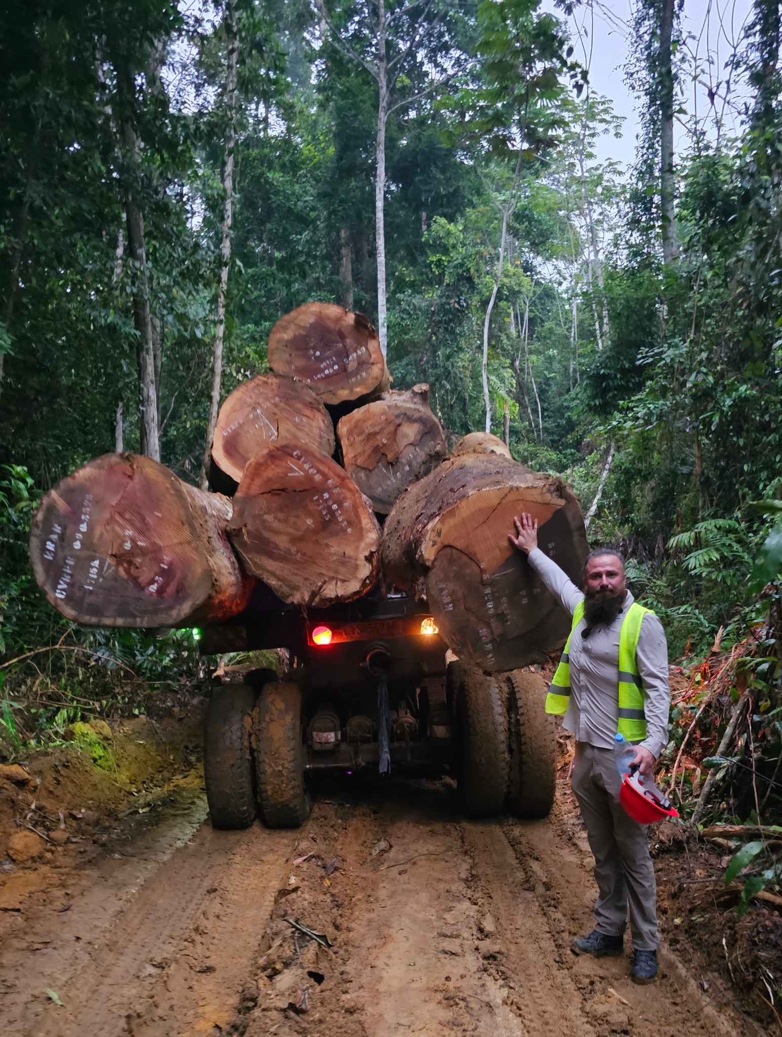 Ciężarówka z ładunkiem ściętych pni drzew w dżungli. Mężczyzna w kamizelce odblaskowej stoi obok pojazdu na błotnistej drodze. Widoczne drzewa i roślinność.