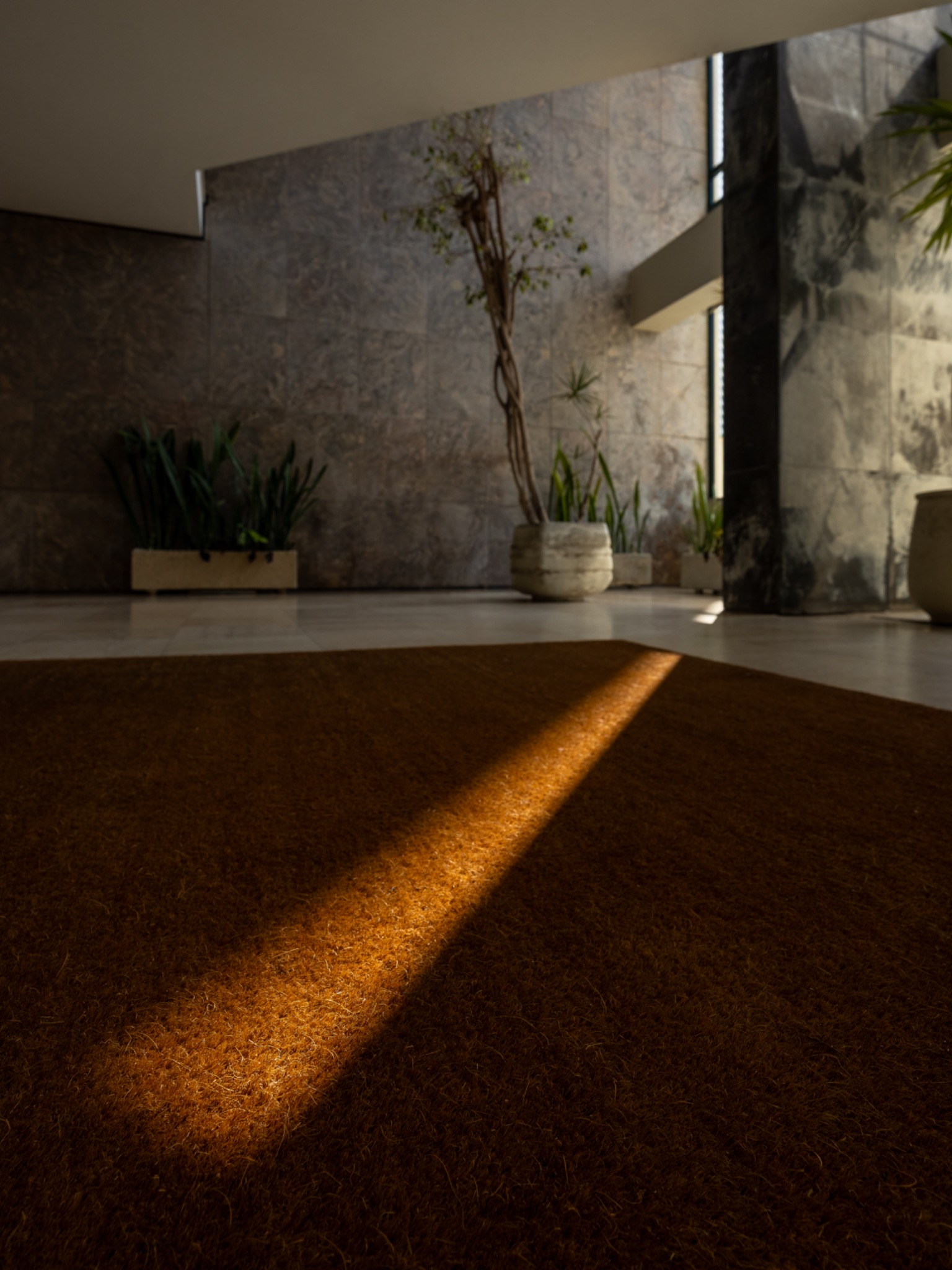 Wnętrze holu z dywanem w ciepłym odcieniu brązu, na który pada pasmo światła słonecznego. W tle rośliny w donicach i marmurowe ściany.