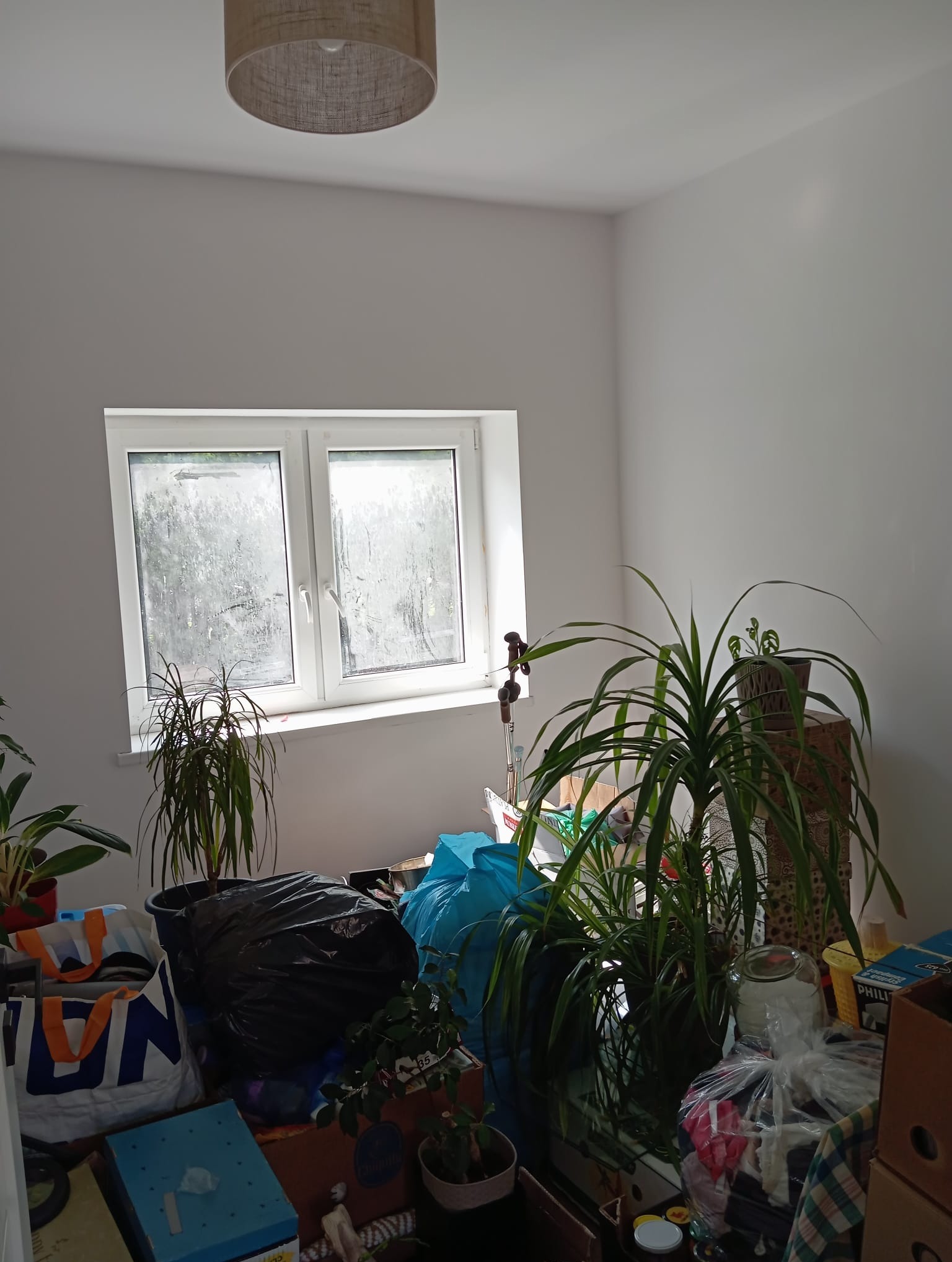 Pusta ściana po remoncie w pokoju z oknem, zagraconym podłogą. Widoczny sufit z lampą. Świeżo pomalowane ściany kontrastują z chaosem w pomieszczeniu.