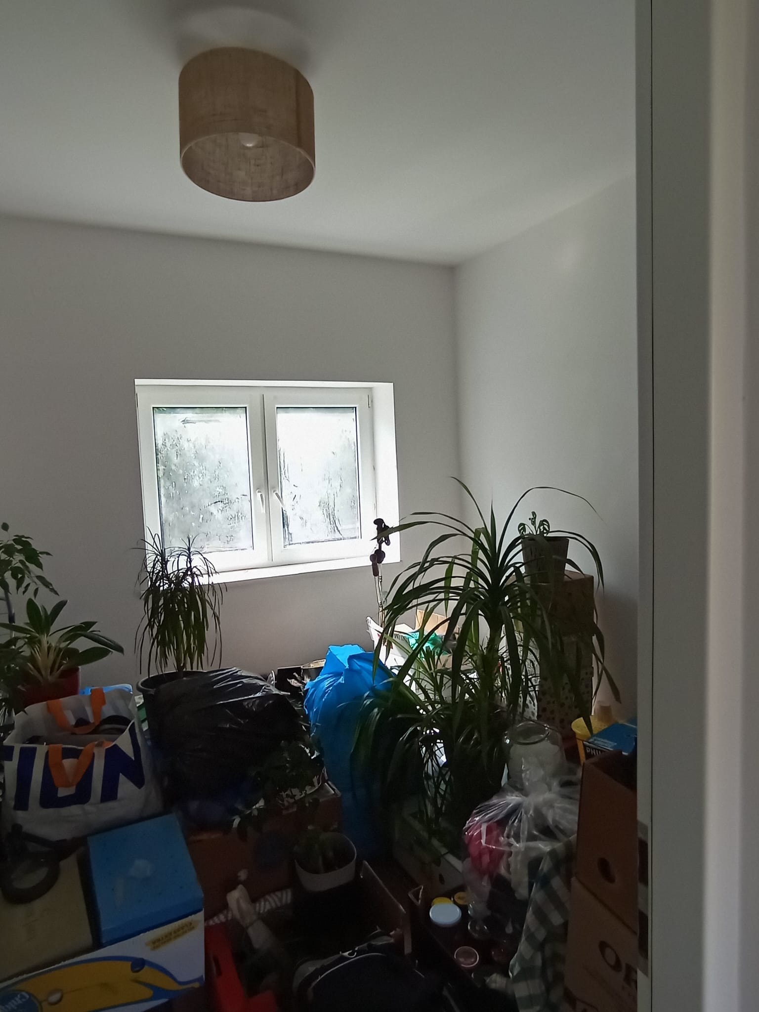 Pokój przed remontem: zagracony, z oknem i lampą sufitową. Rośliny doniczkowe i przedmioty w nieładzie. Ściany białe, gotowe do odświeżenia.