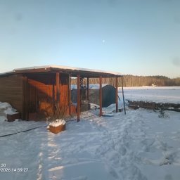 Wycinka drzew Olsztyn 1