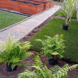 Jan Jaślanek - Świeżo ułożona trawa z rolki, drewniane skrzynie na rośliny, ścieżka z kostki, paprocie w donicach. Elementy ogrodu w trakcie aranżacji.