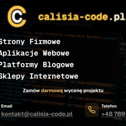 Tworzenie stron internetowych Kalisz 1