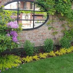 Firma ogrodnicza Magdalena Modła - Usługi w ogrodzie Kędzierzyn-Koźle