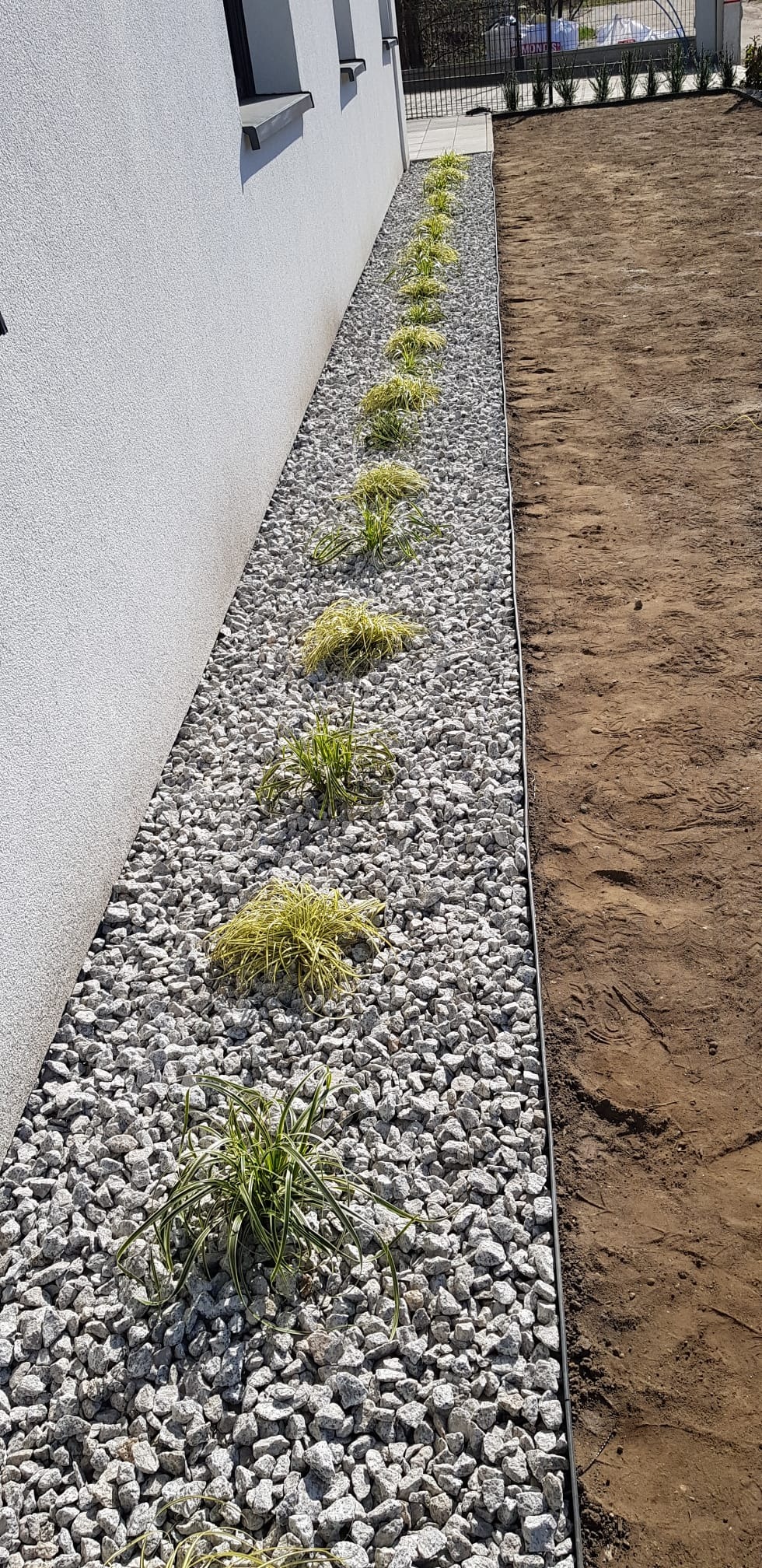 Rabata z białych kamieni i ozdobnych traw wzdłuż ściany budynku. Widoczny fragment przygotowanego terenu pod trawnik. Słoneczny dzień.