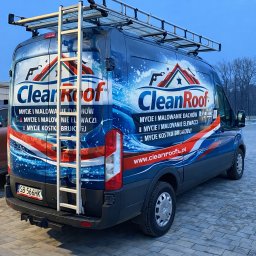 CleanRoof
