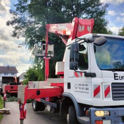Euro-Standard - Wynajem Maszyn - Roboty Ziemne i Budowlane - Kruszywa - Transport - Podnośnik koszowy MAN TGL 7.150 z wysięgnikiem w akcji, na tle drzewa i błękitnego nieba. Widoczne podpory stabilizujące i numery kontaktowe na kabinie.