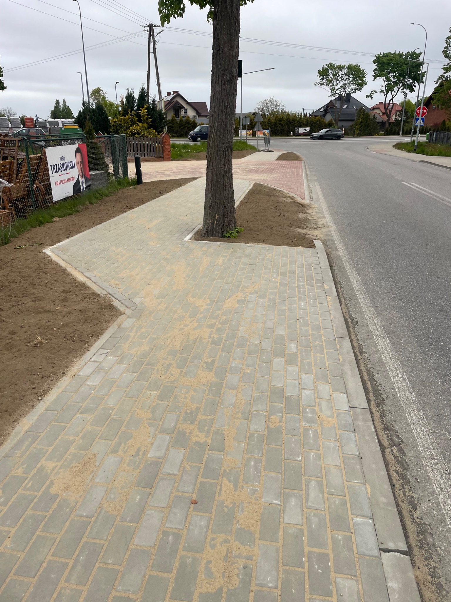 Ułożona kostka brukowa chodnika wokół drzewa, z piaskiem w spoinach. W tle ulica i budynki. Widoczny plakat wyborczy.