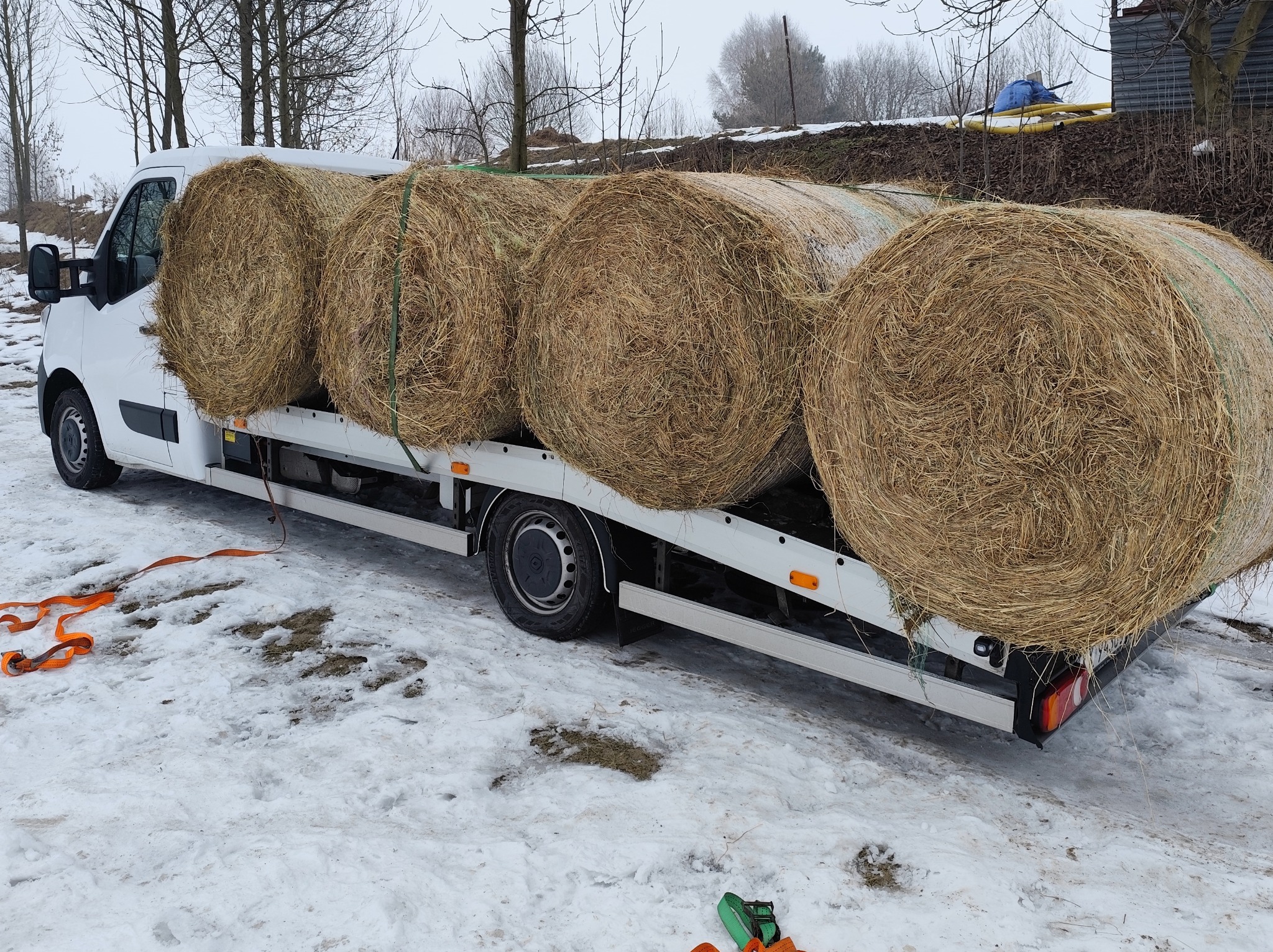 Biała platforma transportowa z czterema okrągłymi balotami siana na śniegu. Pomarańczowe pasy zabezpieczające leżą na ziemi. Zimowy krajobraz w tle.