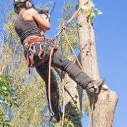 "SOK&Oacute;Ł" PRZEMYSŁAW KAZUR - Usługi Ogrodnicze Gołuch&oacute;w