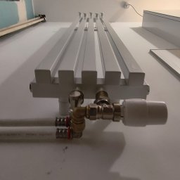 ProDom - Nowoczesny biały grzejnik panelowy z mosiężnymi przyłączami i głowicą termostatyczną, zamontowany na białej ścianie. Ujęcie z dołu, w tle widoczna głowa osoby w okularach.