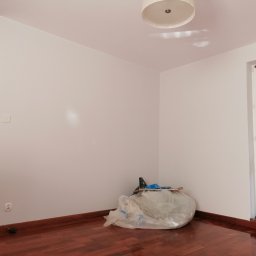 Odświeżenie mieszkania ( gipsowanie ubytków, malowanie sufitu i ścian) drobne naprawy itp. 