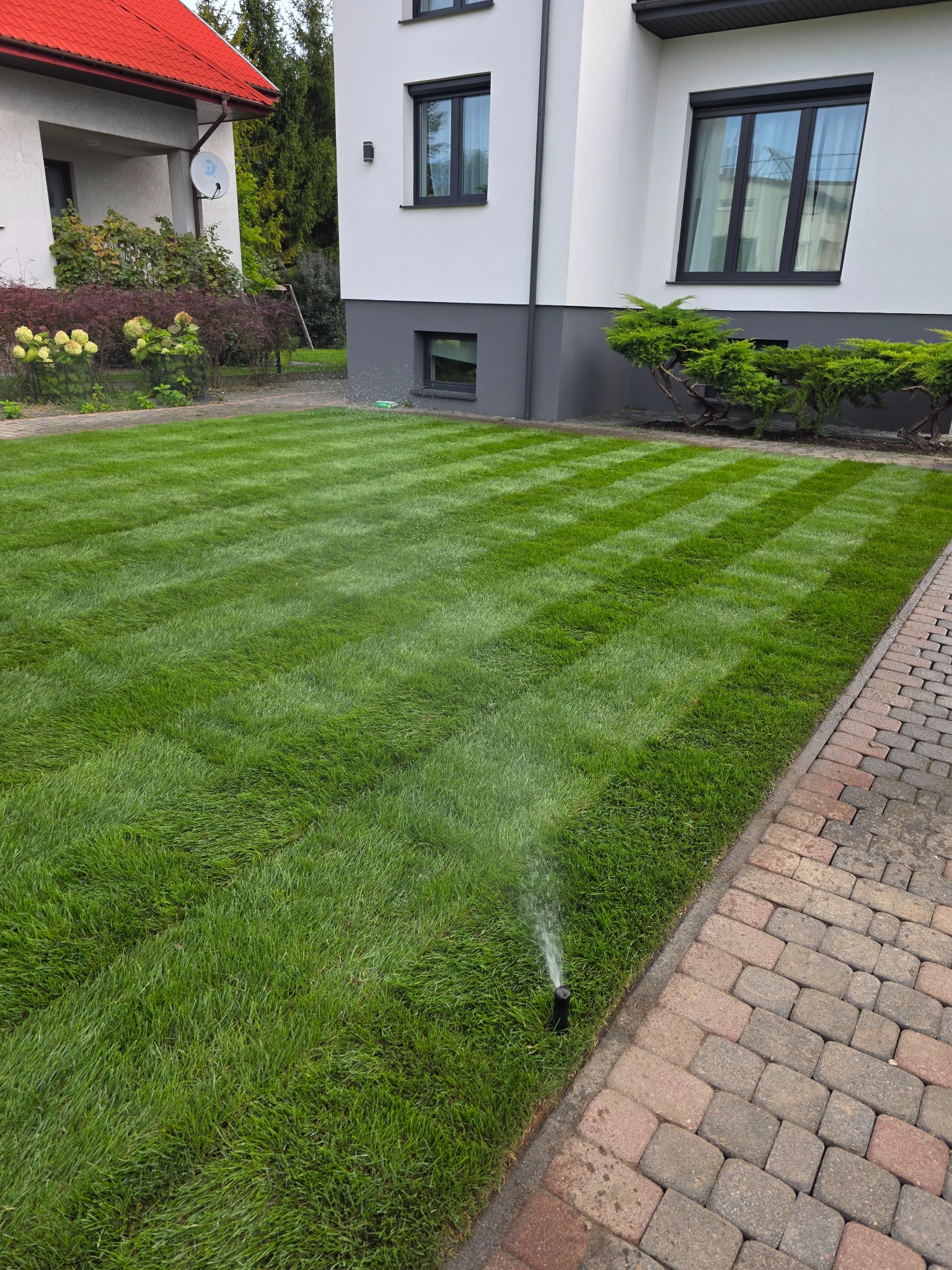 Perfekcyjnie przystrzyżony trawnik w paski, zraszacz w akcji, obok kostka brukowa i budynek z białymi ścianami. Zadbane otoczenie domu.