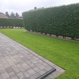 Zakładanie ogrodów Osiek Jasielski 2