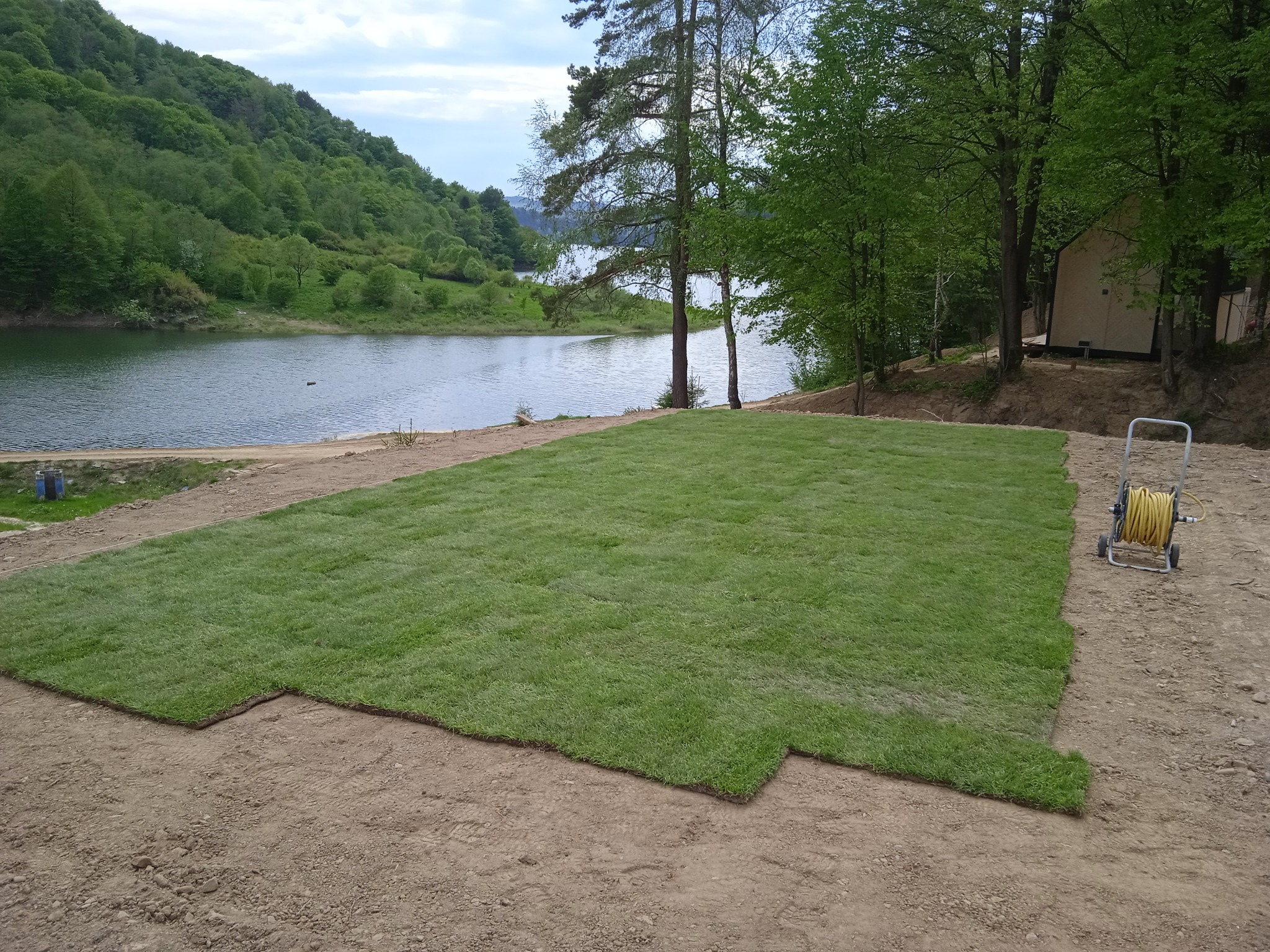 Układanie trawy z rolki na działce z widokiem na jezioro. Częściowo ułożona darń, w tle drzewa i budynek. W rogu wózek z wężem do podlewania.