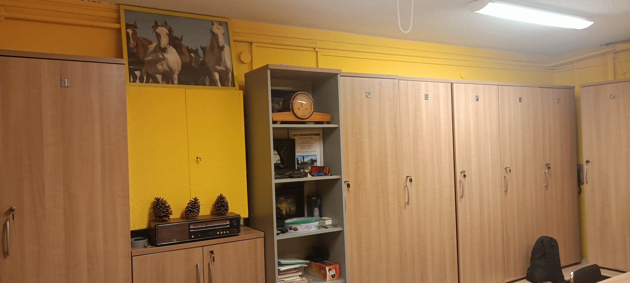 Żółta szatnia z drewnianymi szafkami, numerowanymi od 1 do 7. Na szafkach dekoracje: radio retro, szyszki, obraz z końmi. Ściany i sufit pomalowane na żółto.