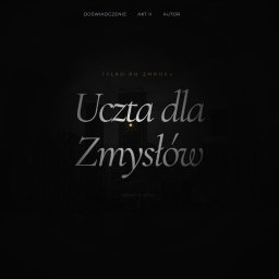 Tworzenie stron internetowych Wolin 2