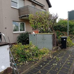 Wycinka drzew Oleśnica 1