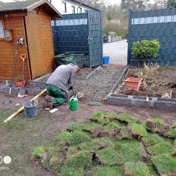 Wycinka drzew Oleśnica 4