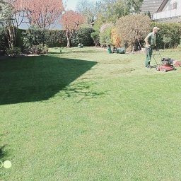 Bartosz Dabrowa - Mężczyzna kosiarką spalinową kosi trawę na zielonym trawniku w ogrodzie. Część trawnika już skoszona, widoczne ślady po koszeniu. W tle drzewa i budynki.