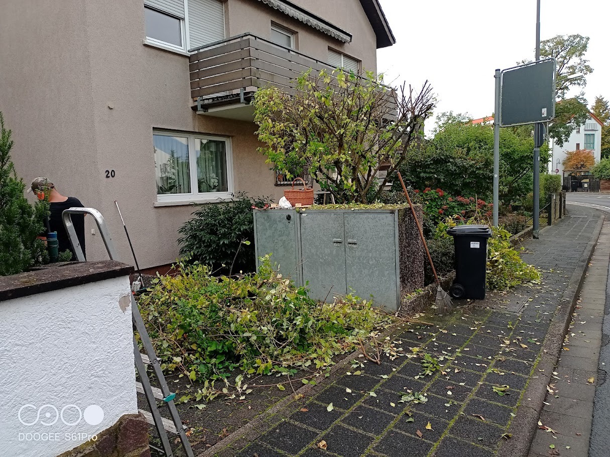 Przy budynku, osoba na drabinie przycina krzew. Ślady po cięciu na chodniku i przy śmietniku. Metalowa szafka na zewnątrz. Numer domu 20.