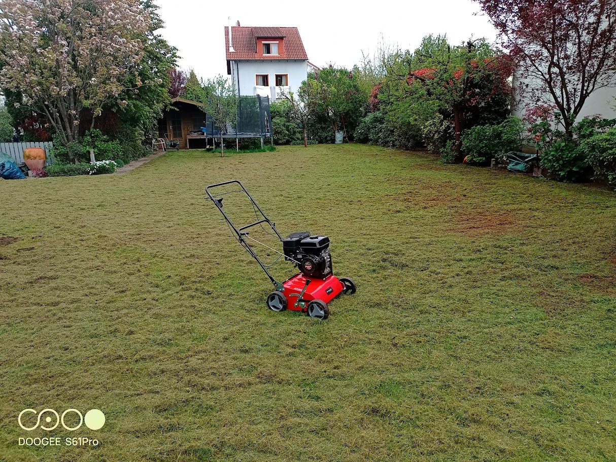Czerwony wertykulator spalinowy na trawniku po wertykulacji, z widocznymi resztkami trawy. W tle dom jednorodzinny i zieleń ogrodu.