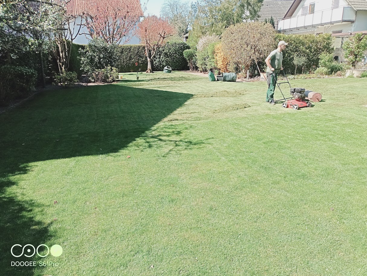 Mężczyzna kosiarką spalinową kosi trawę na zielonym trawniku w ogrodzie. Część trawnika już skoszona, widoczne ślady po koszeniu. W tle drzewa i budynki.