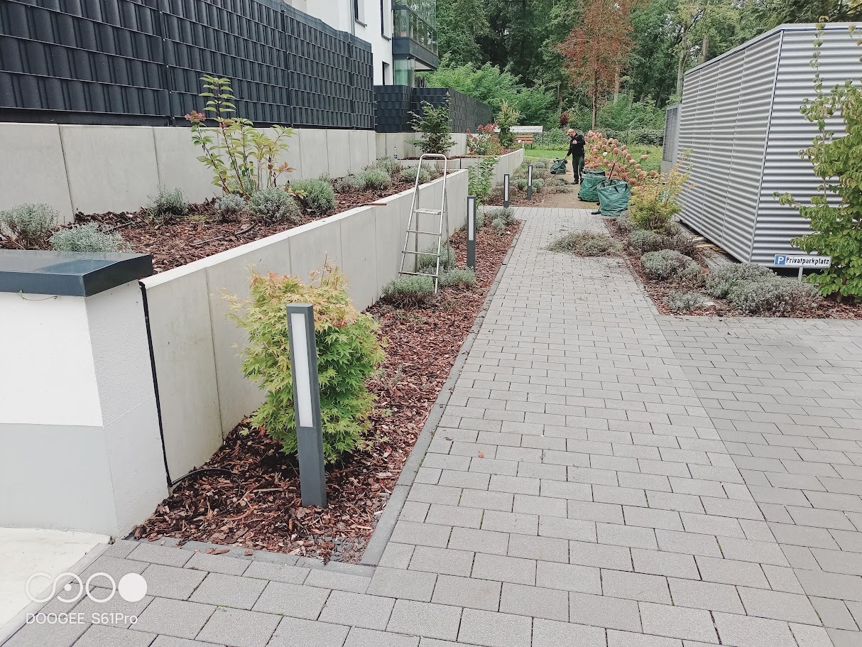 Nowoczesny ogród z podwyższonymi rabatami, oświetleniem i ścieżką z kostki. Osoba w tle zbiera resztki roślinne do worków. Widoczne drzewa i krzewy.