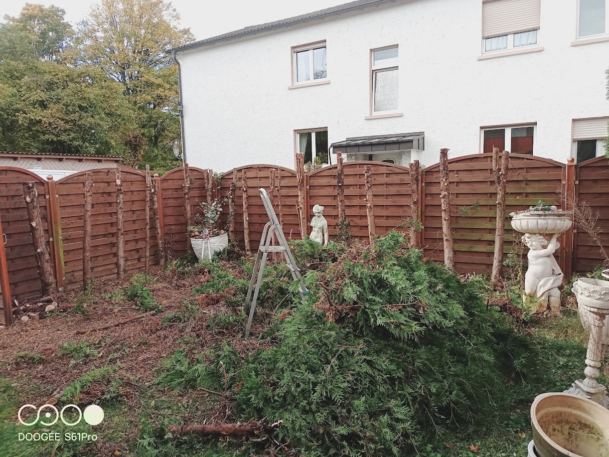 Ogród po przycince drzew i krzewów, z widocznymi pniami przy ogrodzeniu, stertą gałęzi i dekoracyjnymi rzeźbami. Drabina oparta o ogrodzenie.