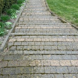 buspomocgdansk - Zarośnięte mchem i brudem kamienne schody prowadzące przez trawnik do ogrodu, widok z góry. Stan przed czyszczeniem lub renowacją.