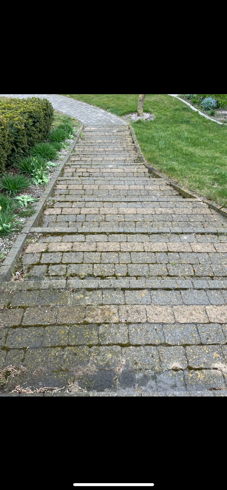 Zarośnięte mchem i brudem kamienne schody prowadzące przez trawnik do ogrodu, widok z góry. Stan przed czyszczeniem lub renowacją.