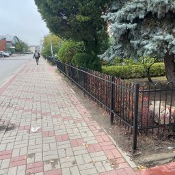 Dawid Karolewski - Czarne, metalowe ogrodzenie rabatki wzdłuż chodnika z kostki, z zielenią w tle i osobą w oddali. Ujęcie z perspektywy pieszego, pochmurny dzień.