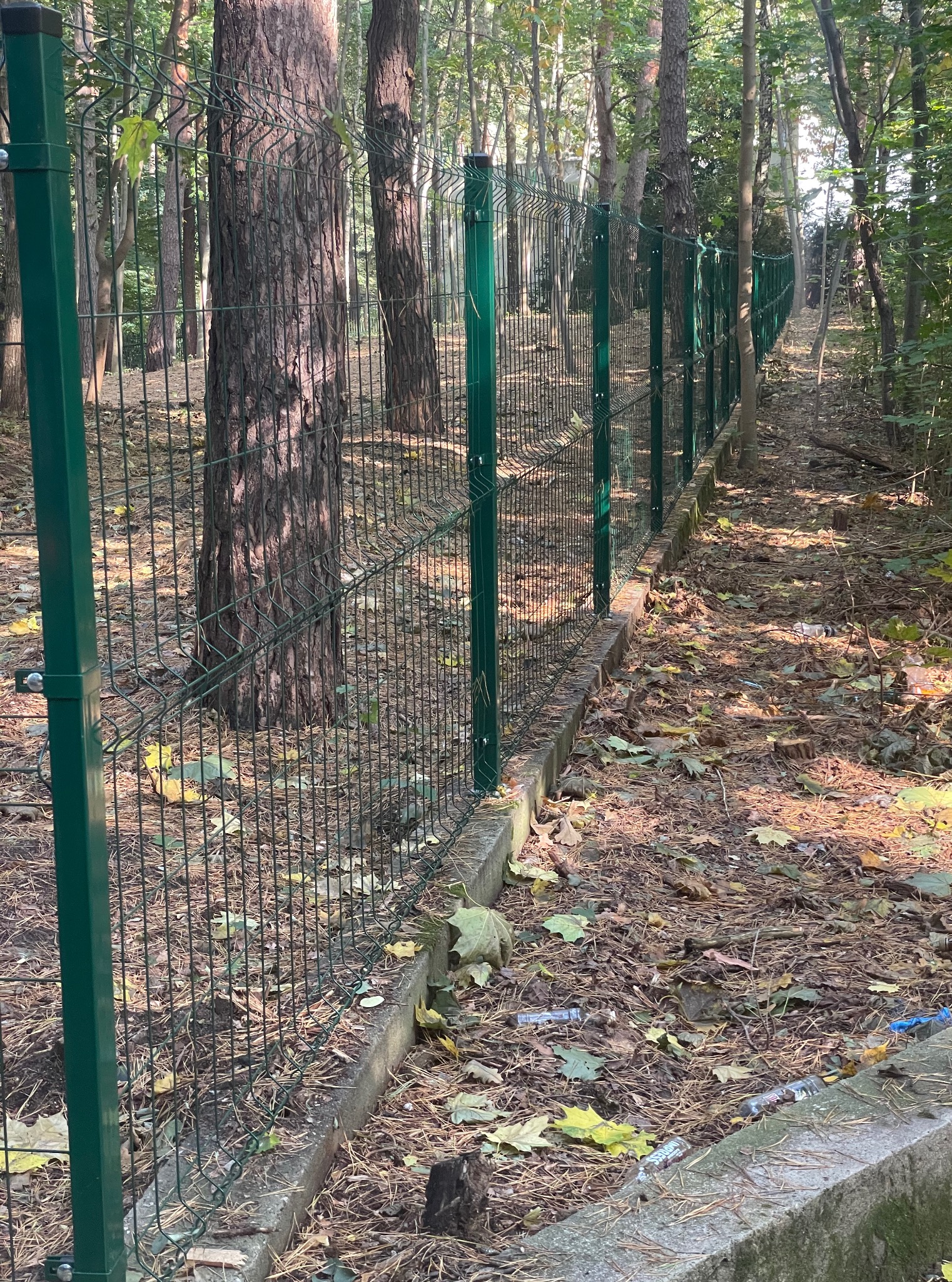 Zielone ogrodzenie panelowe z podmurówką betonową, biegnące wzdłuż leśnej ścieżki, z widocznymi drzewami w tle. Ujęcie z bliska, ukazujące detale konstrukcji.