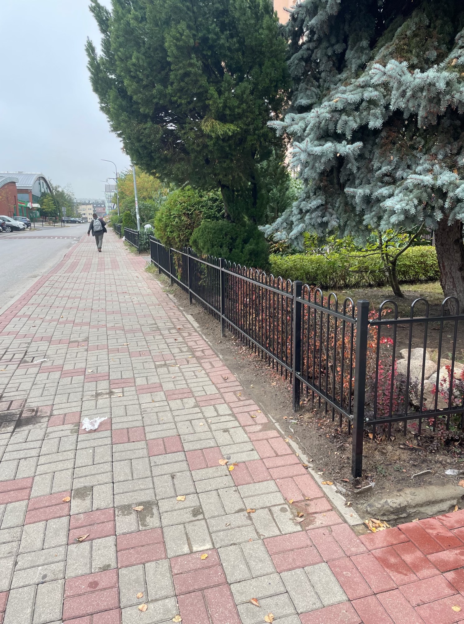 Czarne, metalowe ogrodzenie rabatki wzdłuż chodnika z kostki, z zielenią w tle i osobą w oddali. Ujęcie z perspektywy pieszego, pochmurny dzień.