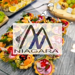 PHU OW NIAGARA Agnieszka Czulak - Obiady Dla Firm Czechowice-Dziedzice