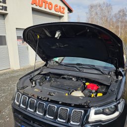 Auto gaz Gogołowa 1