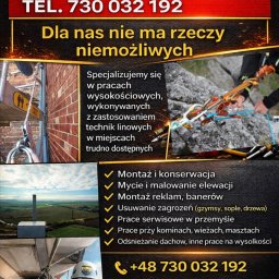 Wycinka drzew Nysa 1