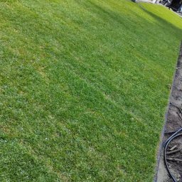 ExtraOgród usługi ogrodnicze - Świeżo ułożona trawa z rolki przy białym budynku, widoczne obrzeża trawnika i elementy instalacji nawadniającej. Trawa gęsta, intensywnie zielona, z delikatnymi białymi punktami.