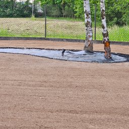 ExtraOgród usługi ogrodnicze - Przygotowany teren pod trawnik z rolki, widoczne dwie brzozy, system nawadniania i obrzeża. Tło stanowi siatka ogrodzeniowa i zieleń.