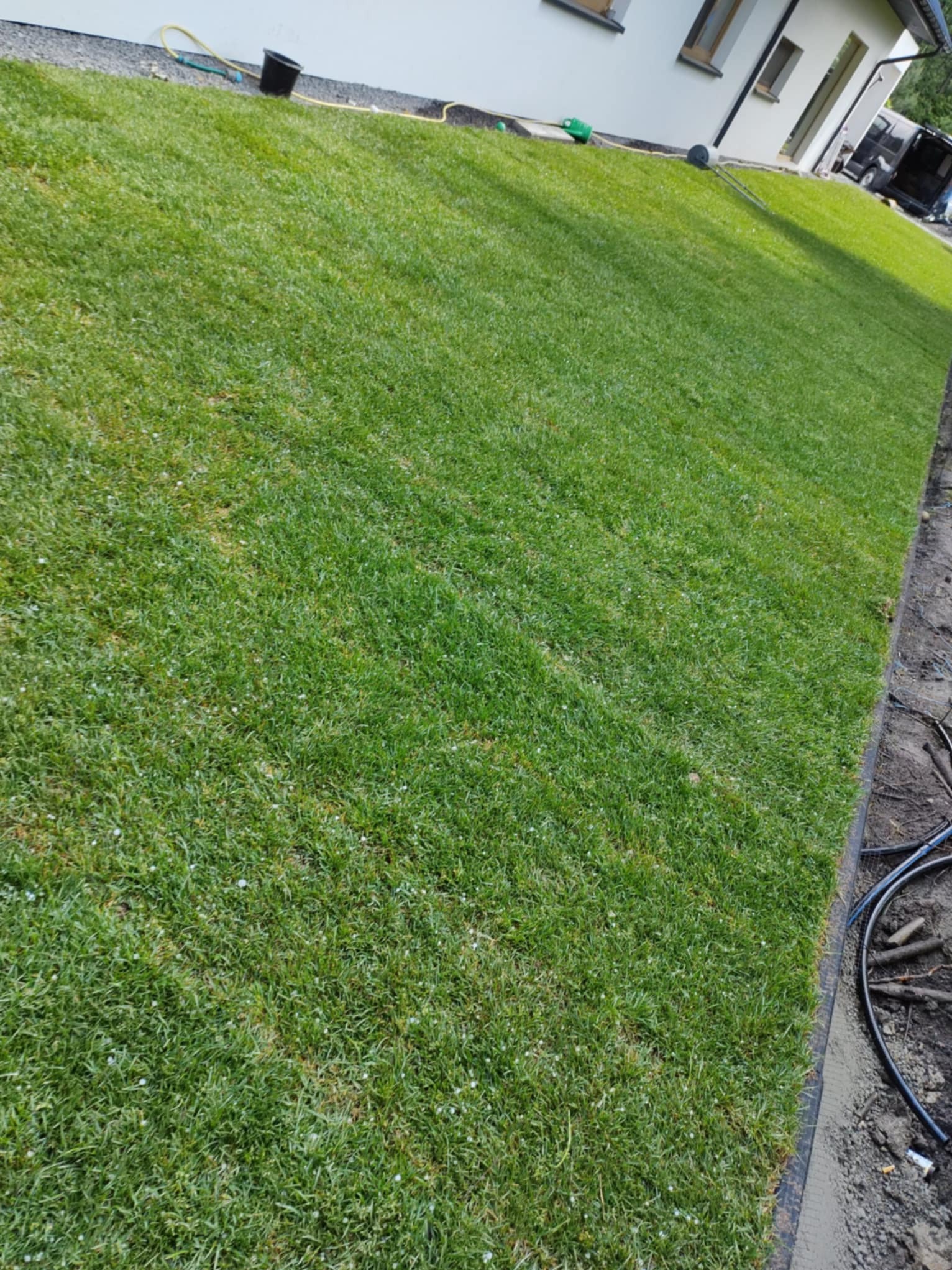Świeżo ułożona trawa z rolki przy białym budynku, widoczne obrzeża trawnika i elementy instalacji nawadniającej. Trawa gęsta, intensywnie zielona, z delikatnymi białymi punktami.