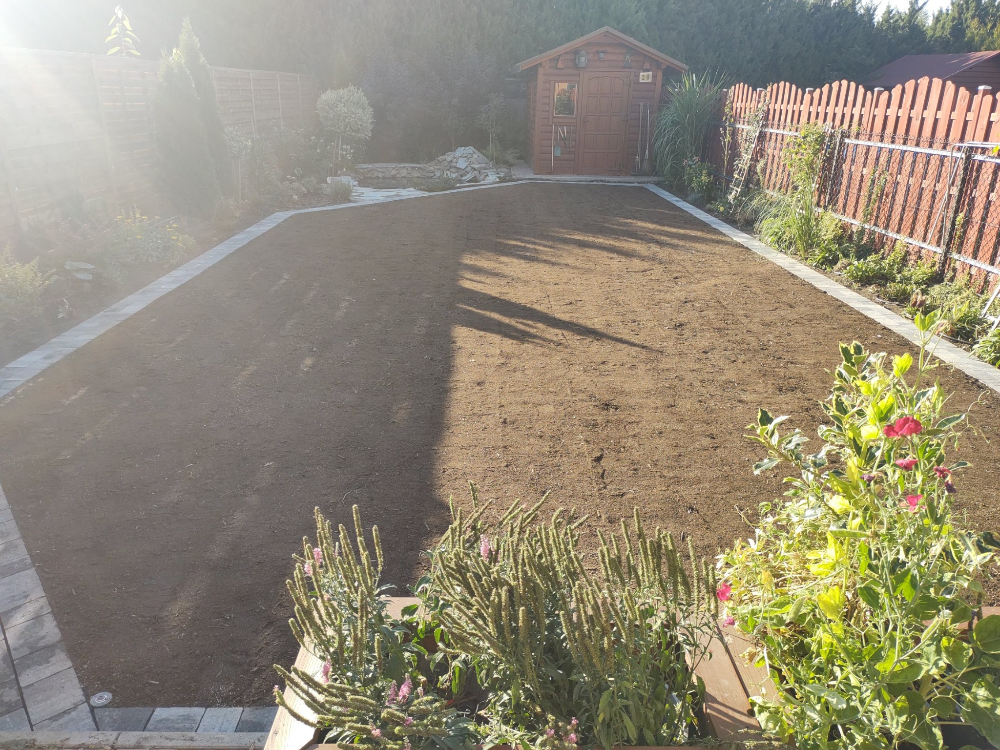 Przygotowany teren pod trawnik z rolki, obrzeża z kostki, w tle drewniany domek narzędziowy i ogrodzenie. Słoneczny dzień.