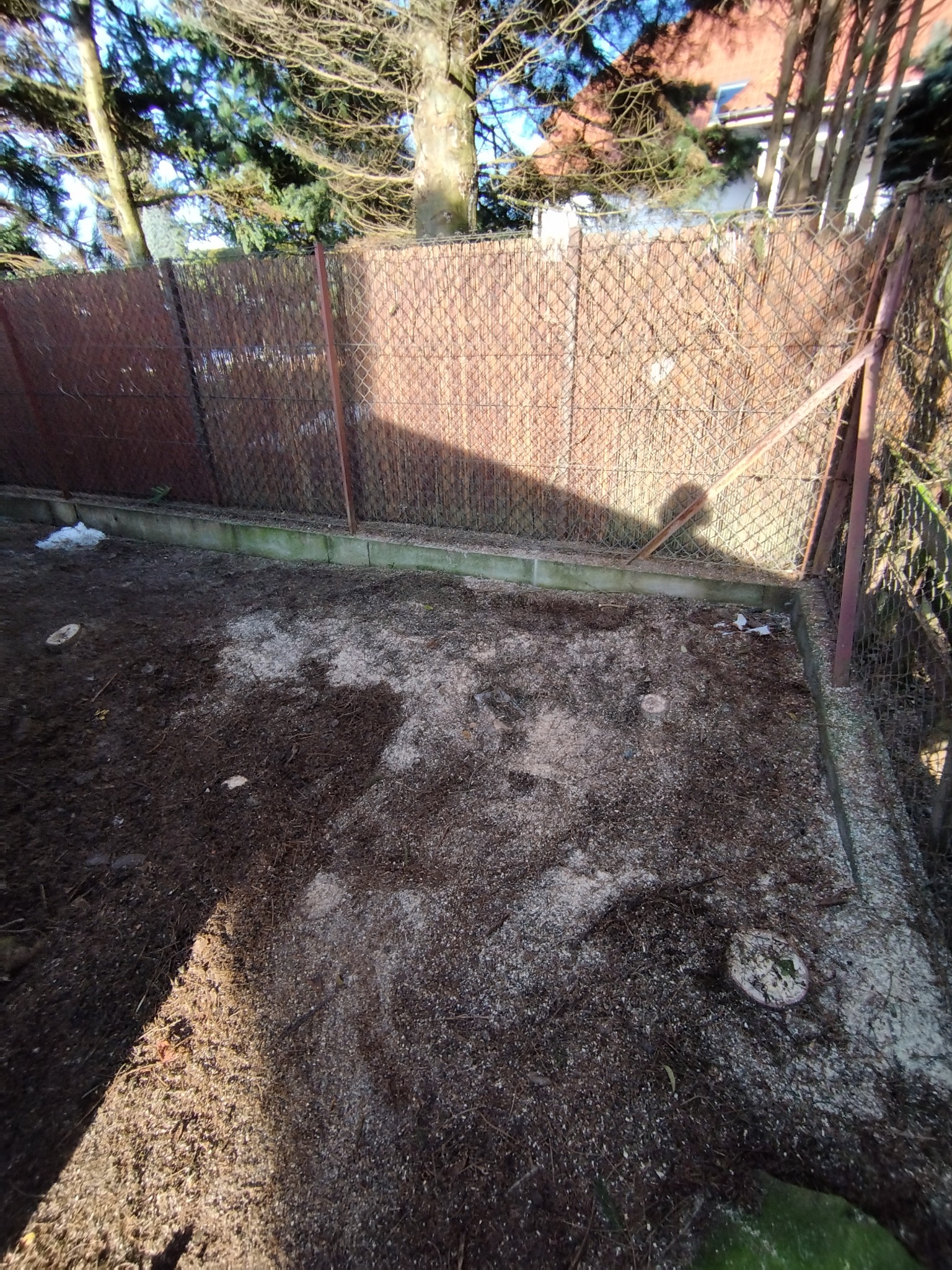 Przygotowany teren pod trawnik: wyrównana ziemia z widocznymi śladami po pniu drzewa, ogrodzenie z siatki i fragmentem brązowej maty. Słoneczny dzień.
