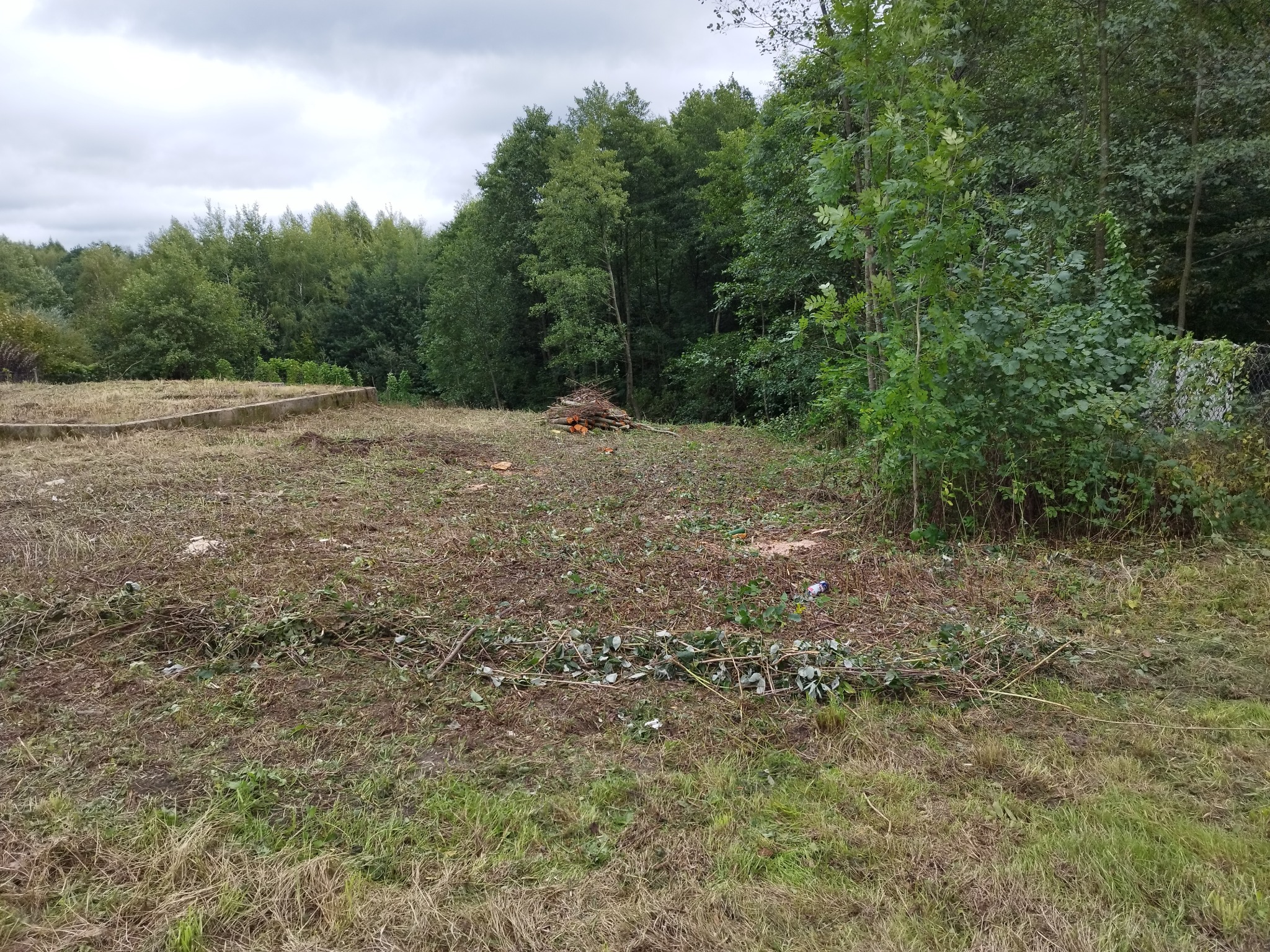Teren po wycince drzew i krzewów z pozostałościami gałęzi i pni. W tle widoczny las i fragment fundamentów. Niebo pochmurne.