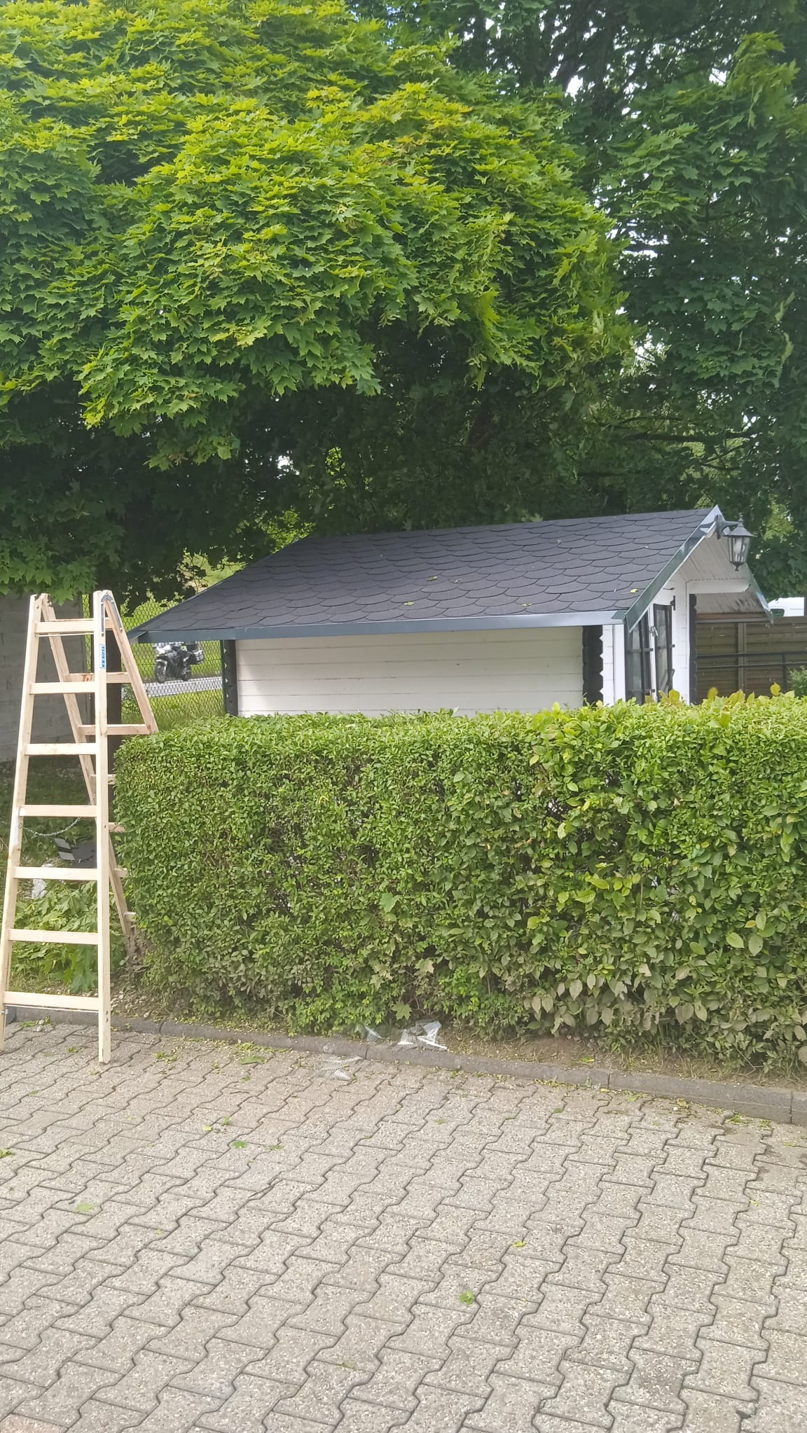 Biały domek narzędziowy z czarnym dachem krytym gontem bitumicznym, częściowo zasłonięty żywopłotem. Obok drewniana drabina oparta o ścianę. Duże drzewo w tle.