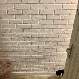 M.W.INVEST - Biała ściana z cegły dekoracyjnej, fragment drzwi z klamką po prawej, kosz i czarno-biały kot w rogu. Wykończenie wnętrza w jasnych barwach.