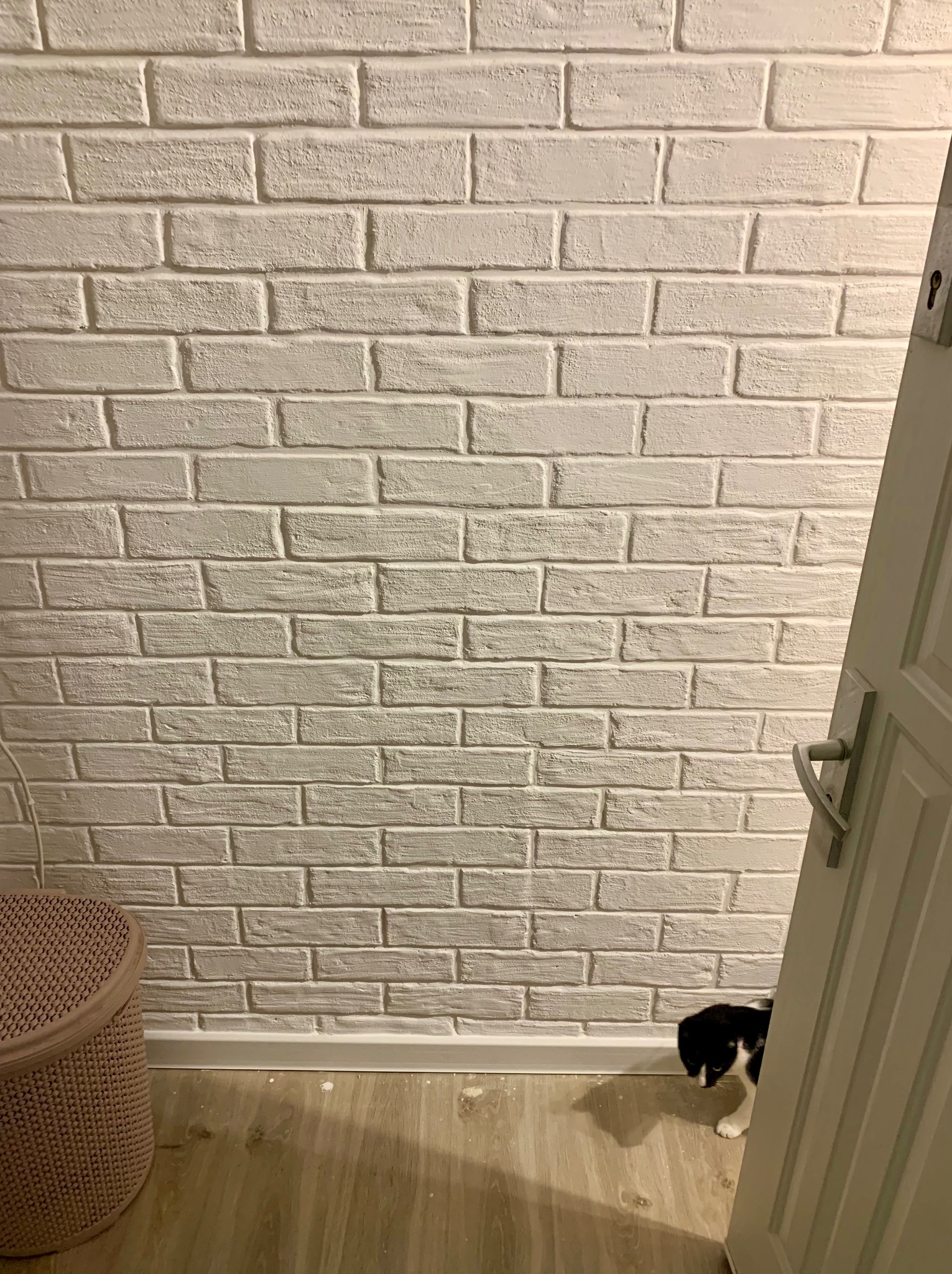 Biała ściana z cegły dekoracyjnej, fragment drzwi z klamką po prawej, kosz i czarno-biały kot w rogu. Wykończenie wnętrza w jasnych barwach.